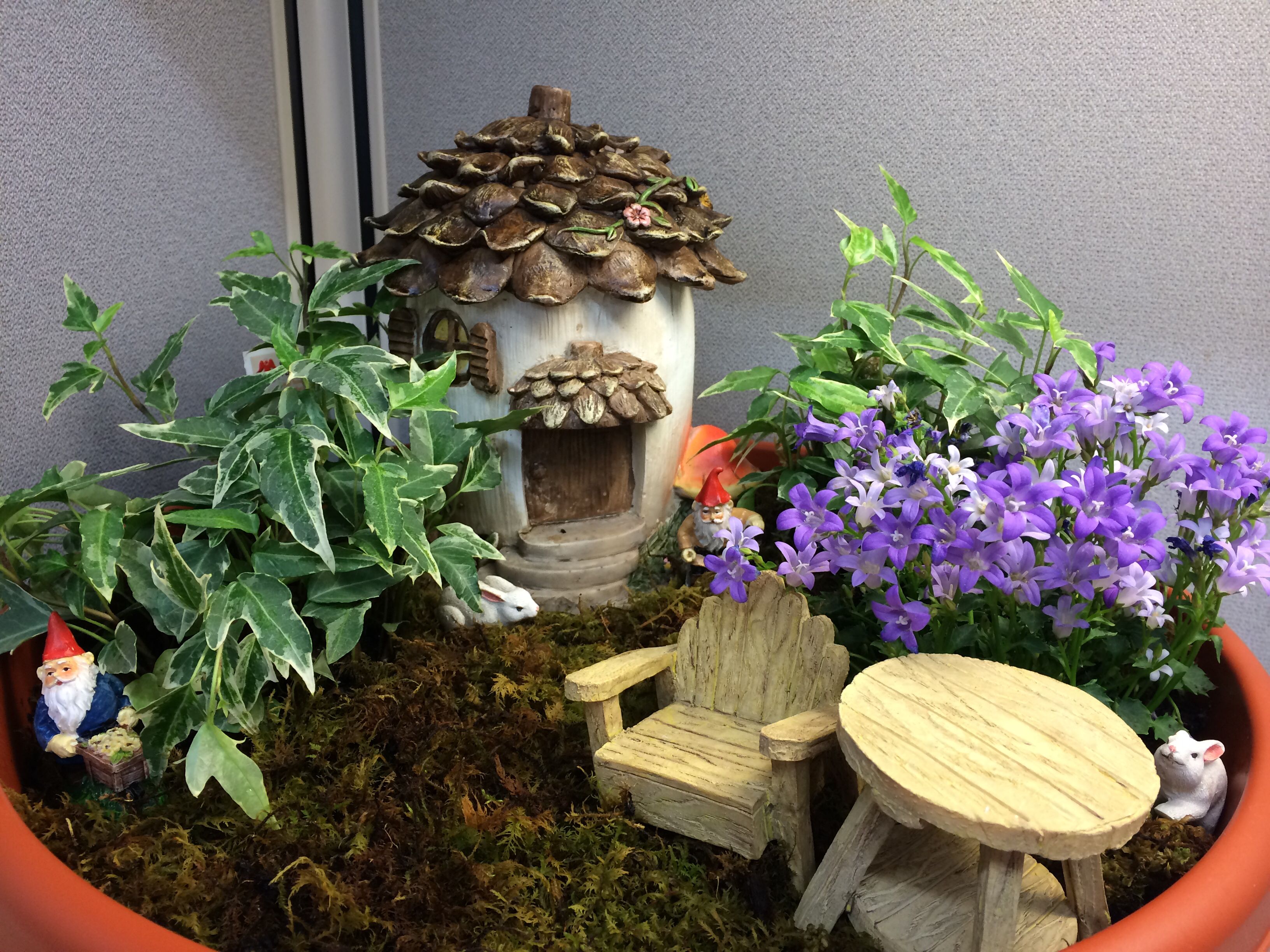 This Indoor Fairy Gardens