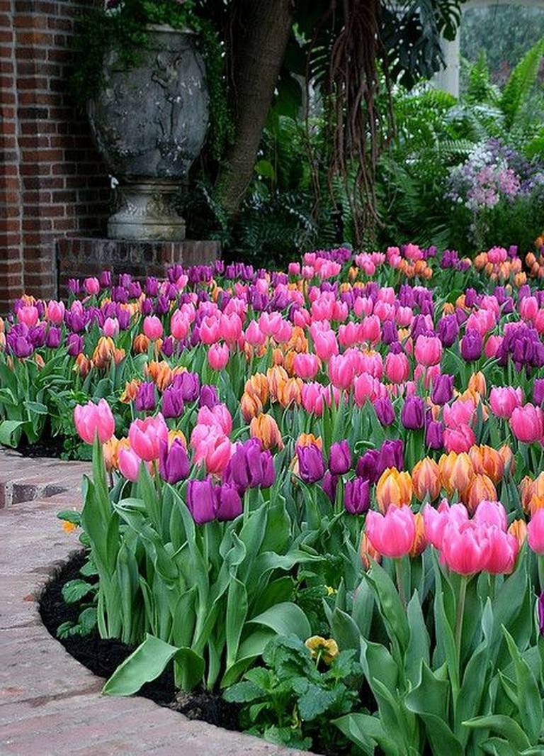 Wonderful Tulips Arrangement Tips