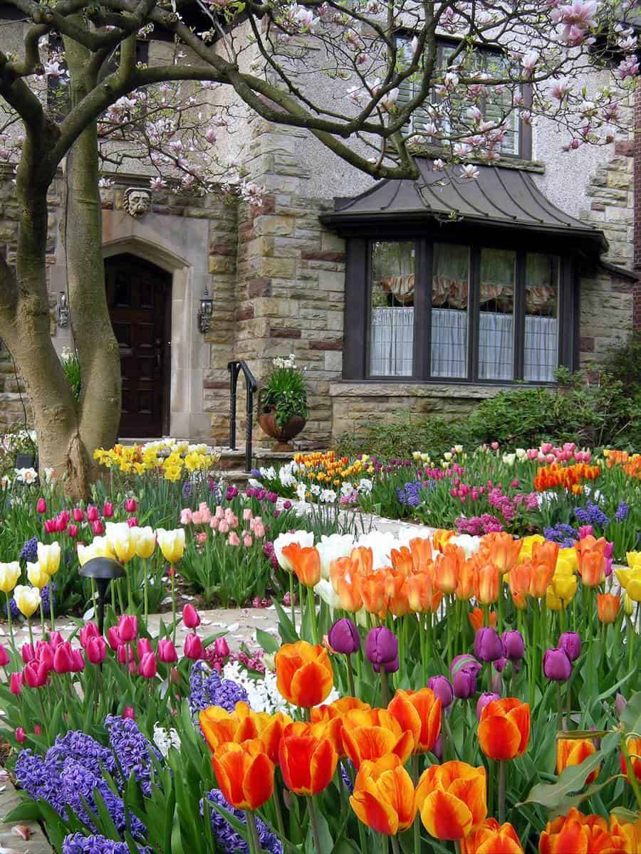 Wonderful Tulips Arrangement Tips