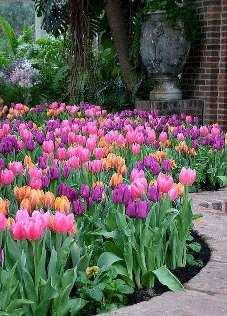 Wonderful Tulips Arrangement Tips