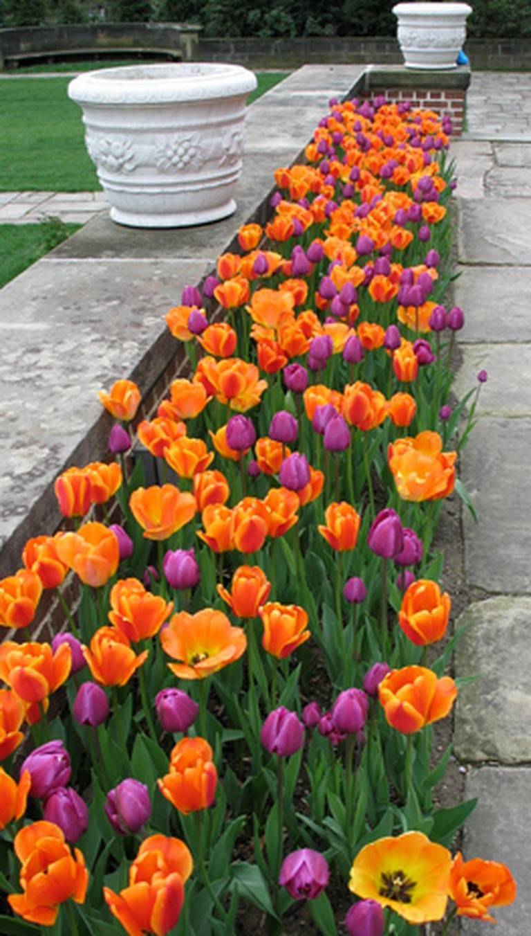 Fresh And Beautiful Spring Flowers Garden Ideas