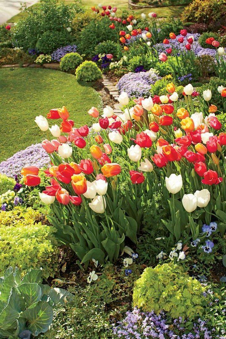 Inspiring Tulip Garden Ideas Town Country Living