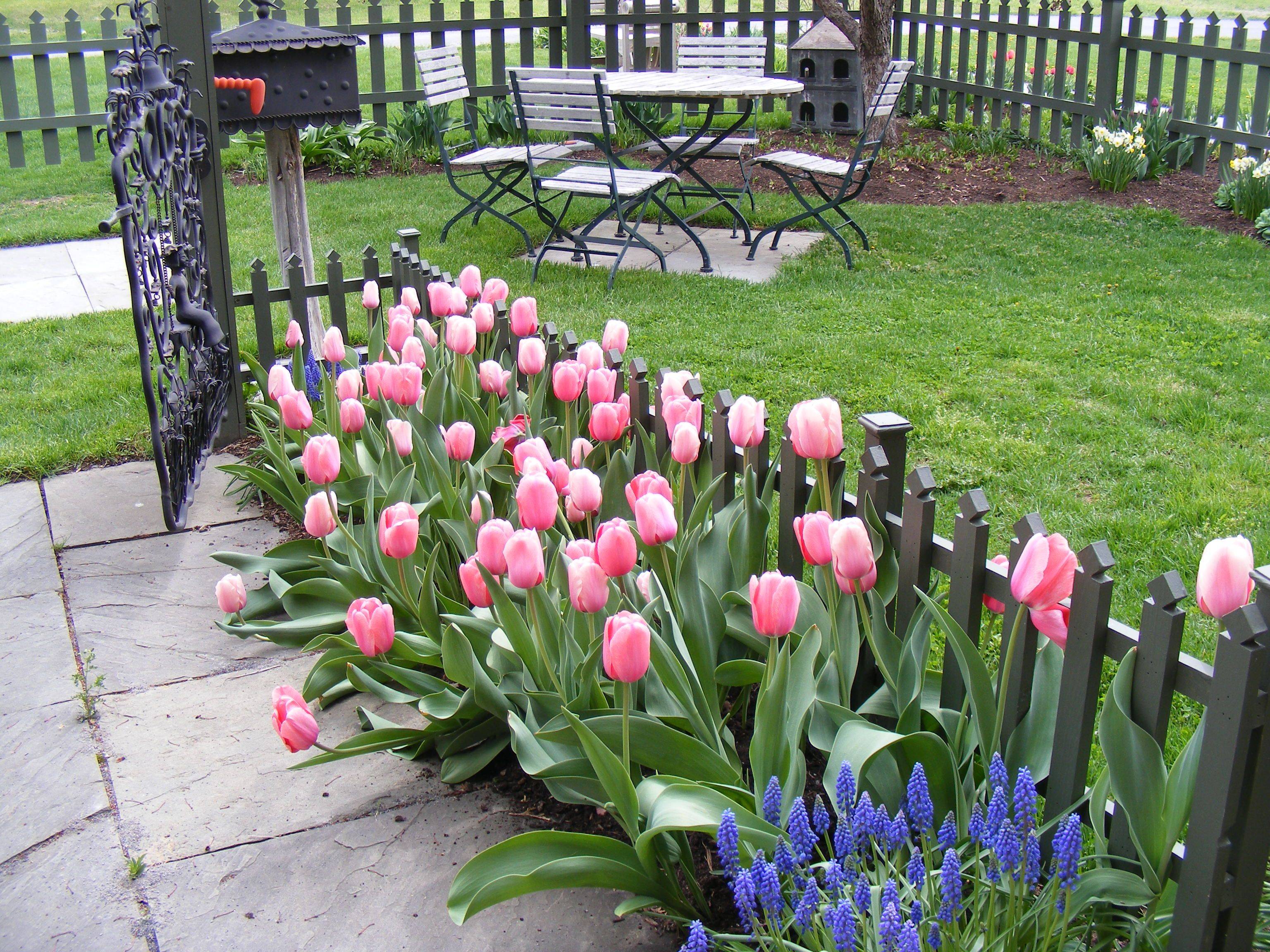 The Entrance Bulbs Garden Design