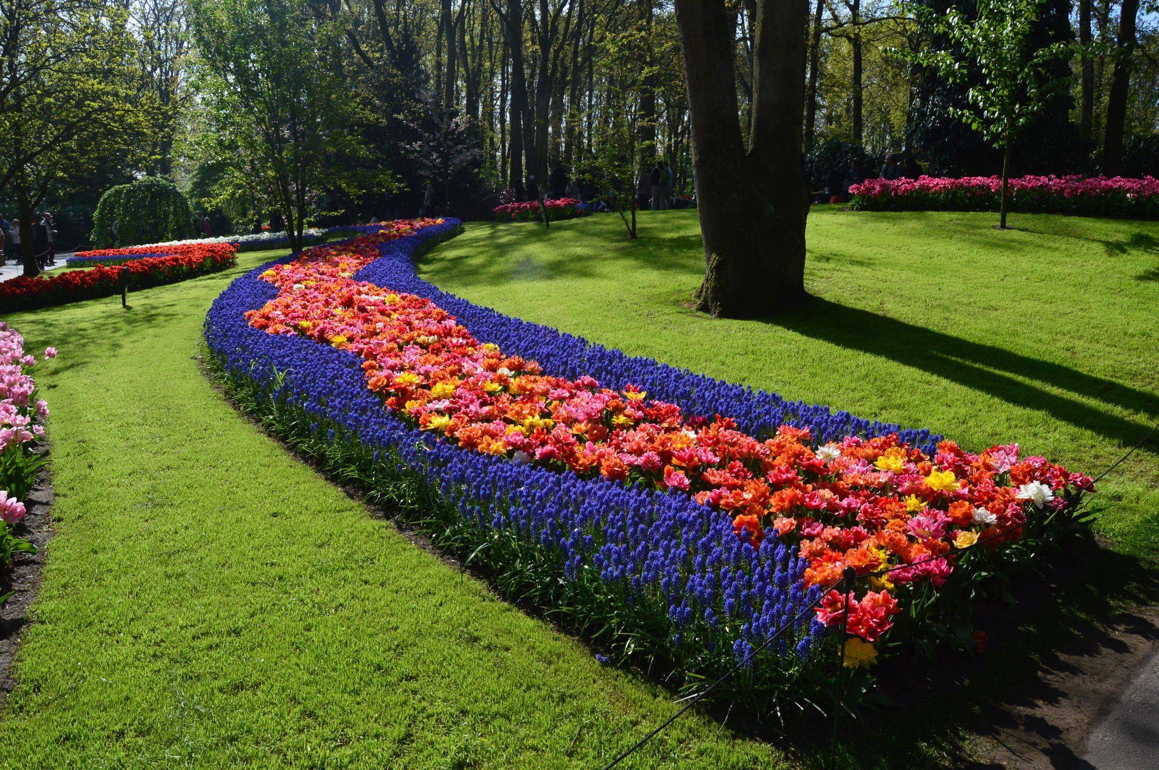Spring Garden Ideas