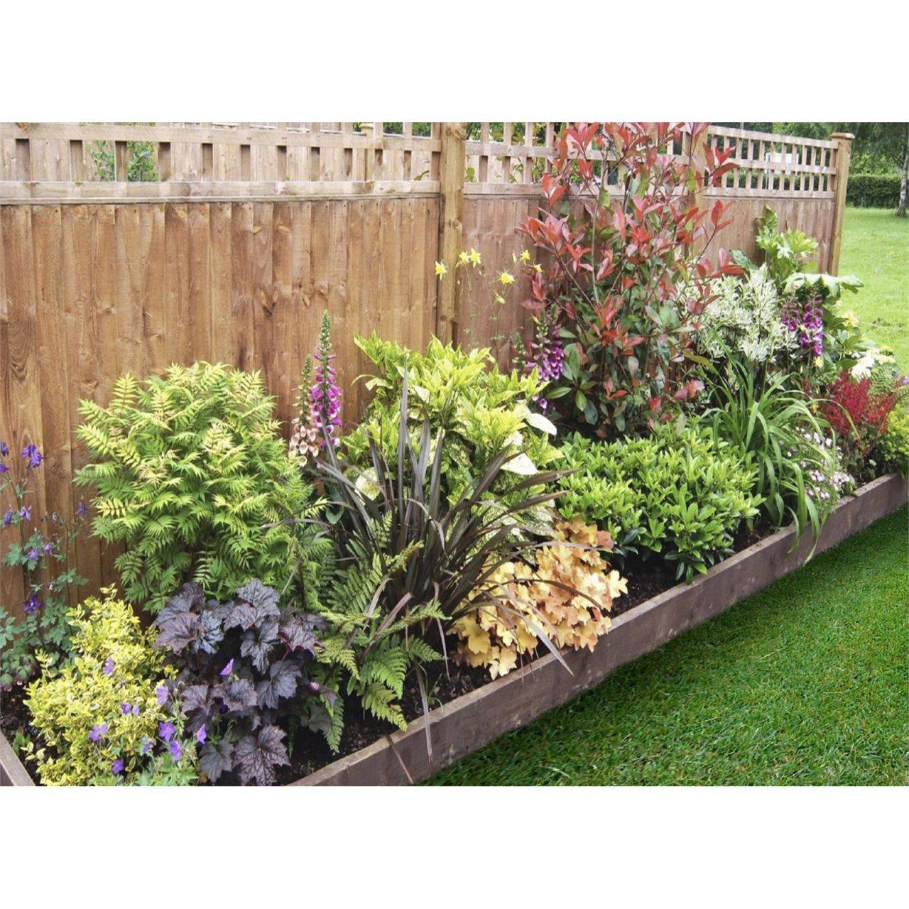 Garden Border Planting Ideas