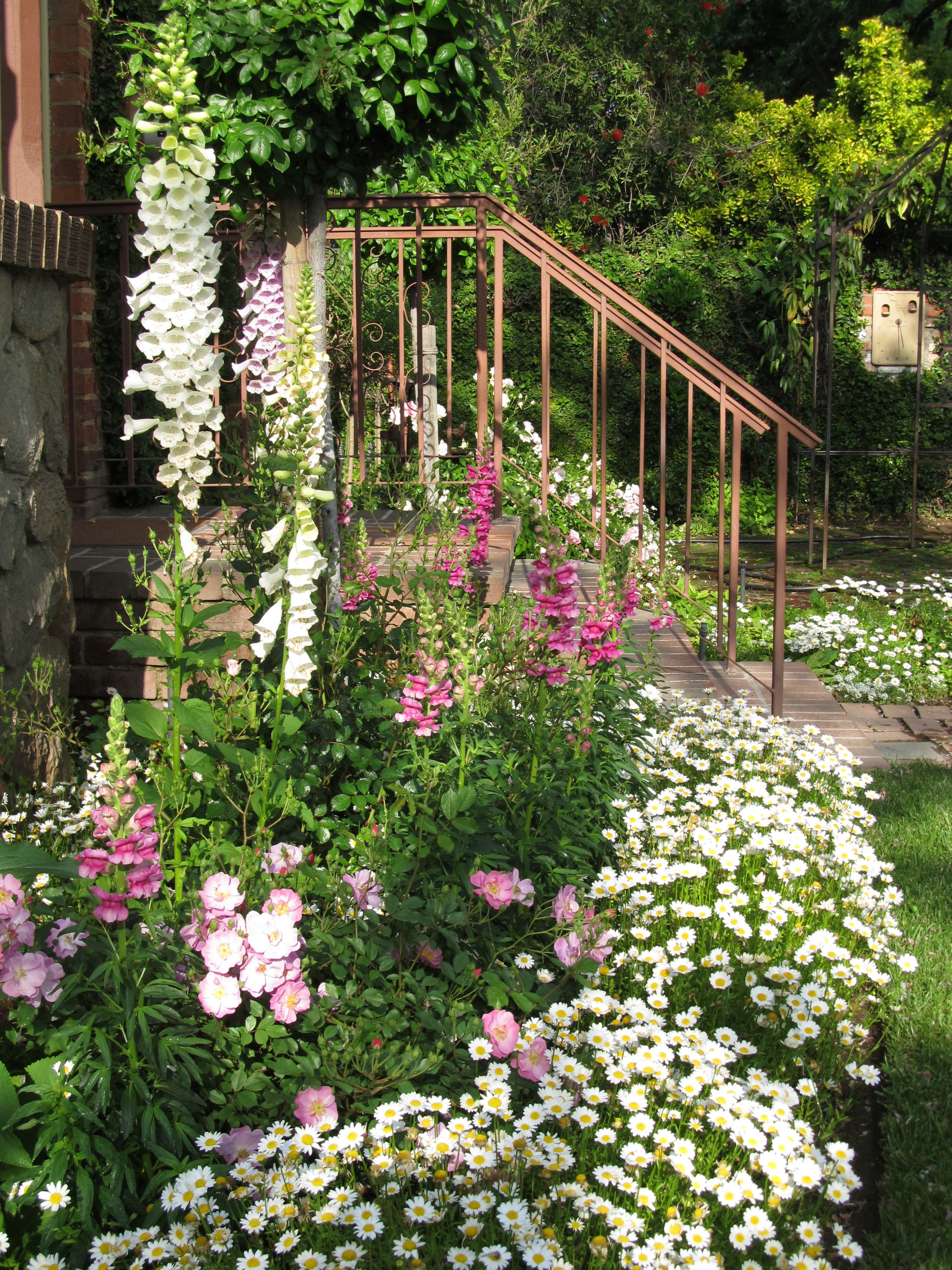Gorgeous Garden Border Design Ideas