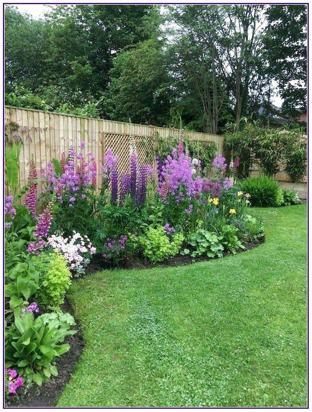 Perennial Plant Front Yard Decor Renewal