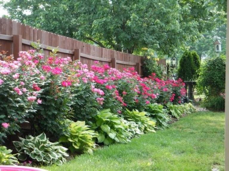 Easy Lowmaintenance Backyard Gardens