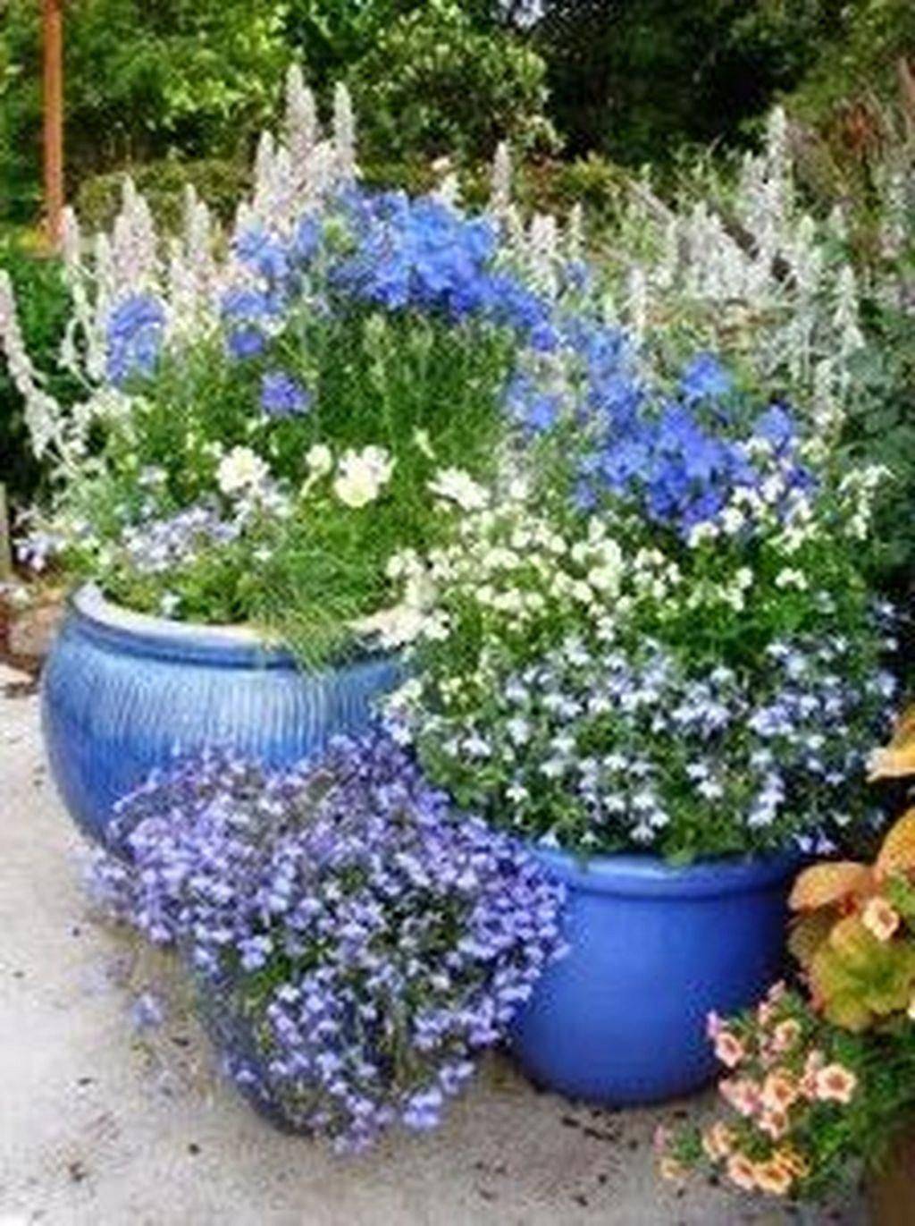 Blue White And Pink Flowers