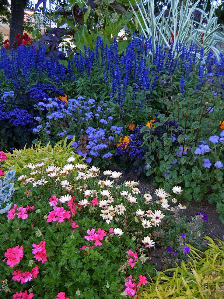 Pin On Garden