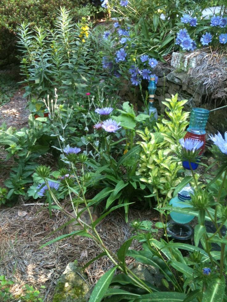Simple Container Garden Flowers Ideas Container Gardening Flowers
