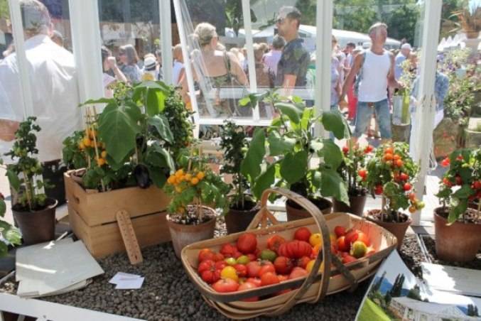 Best Acnh Flower Bed Garden Design Ideas