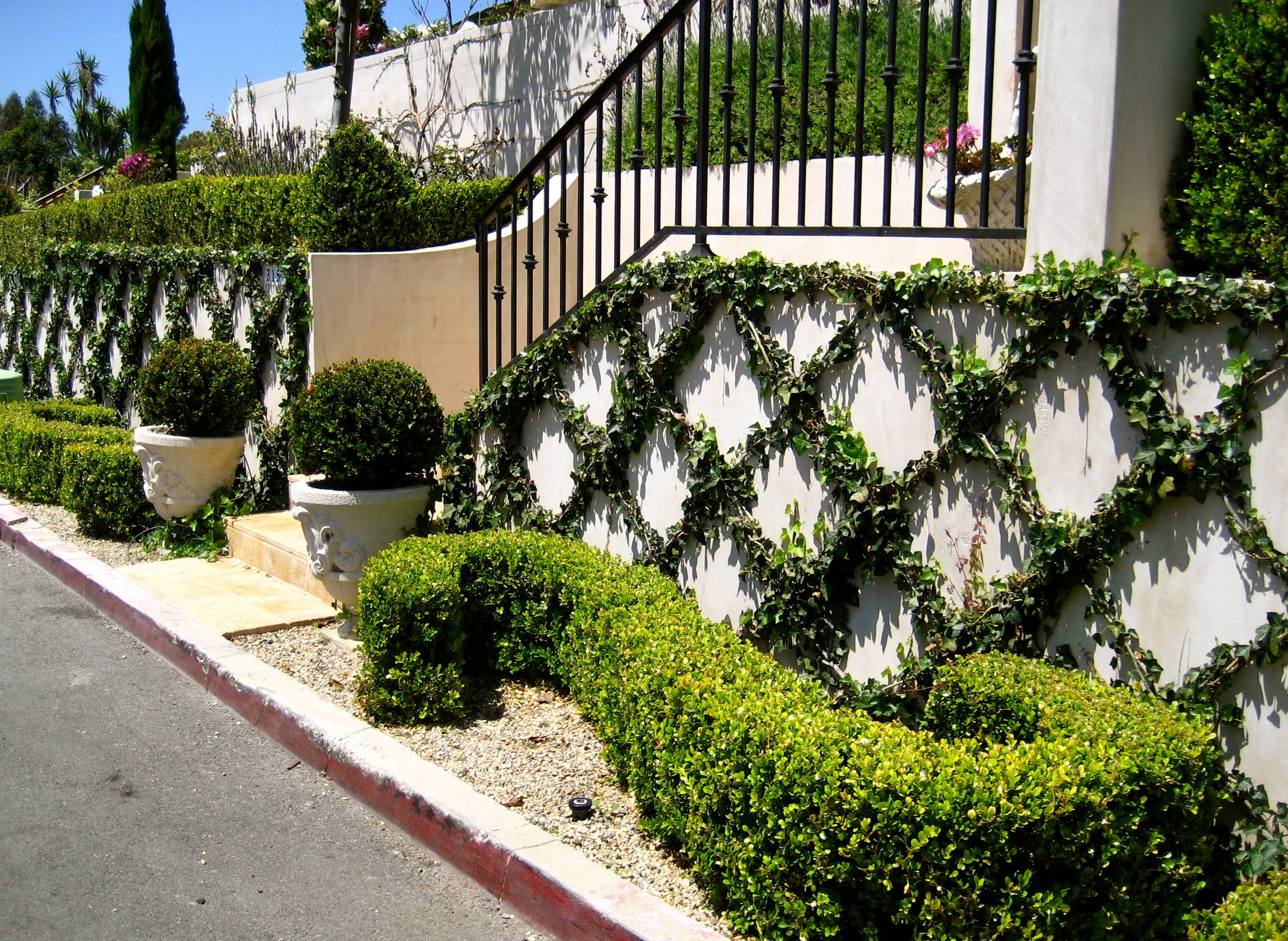 Outdoorsy Landscape Design