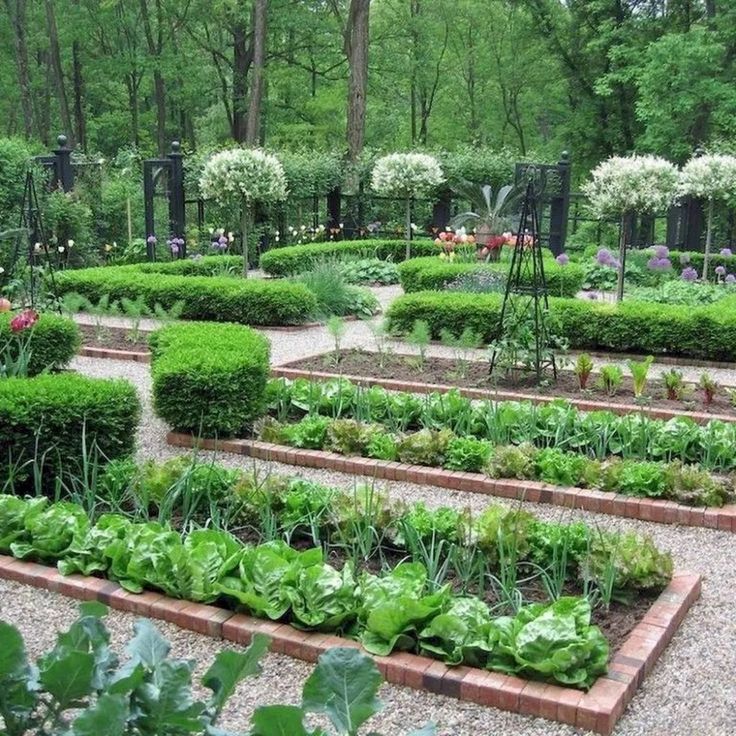 Formal Vegetable Garden Google Search Veggie Garden