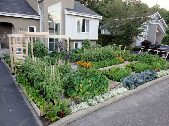 Vegetable Garden Design