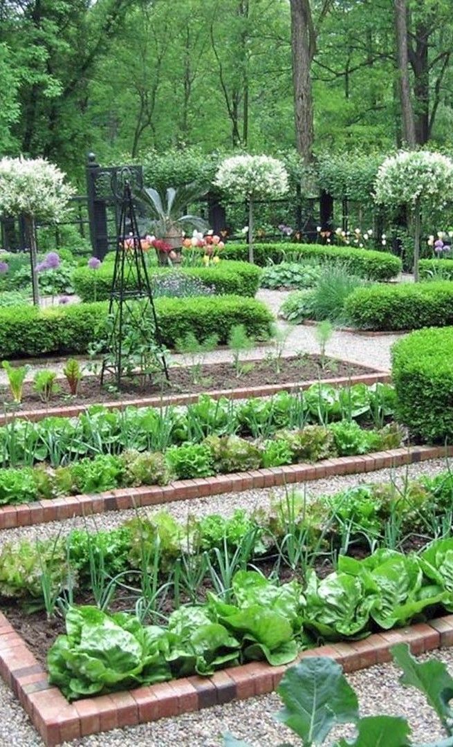 The Formal Vegetable Garden