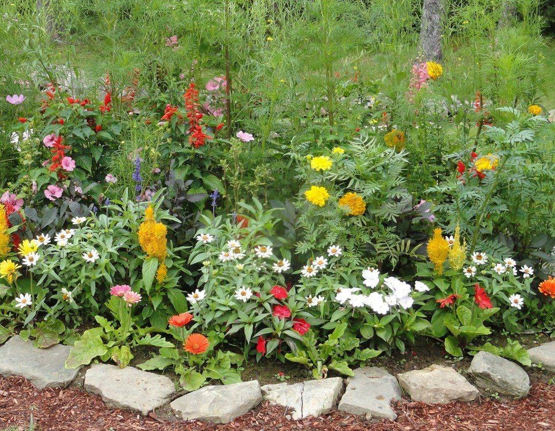 Flower Garden Designs Youll Love