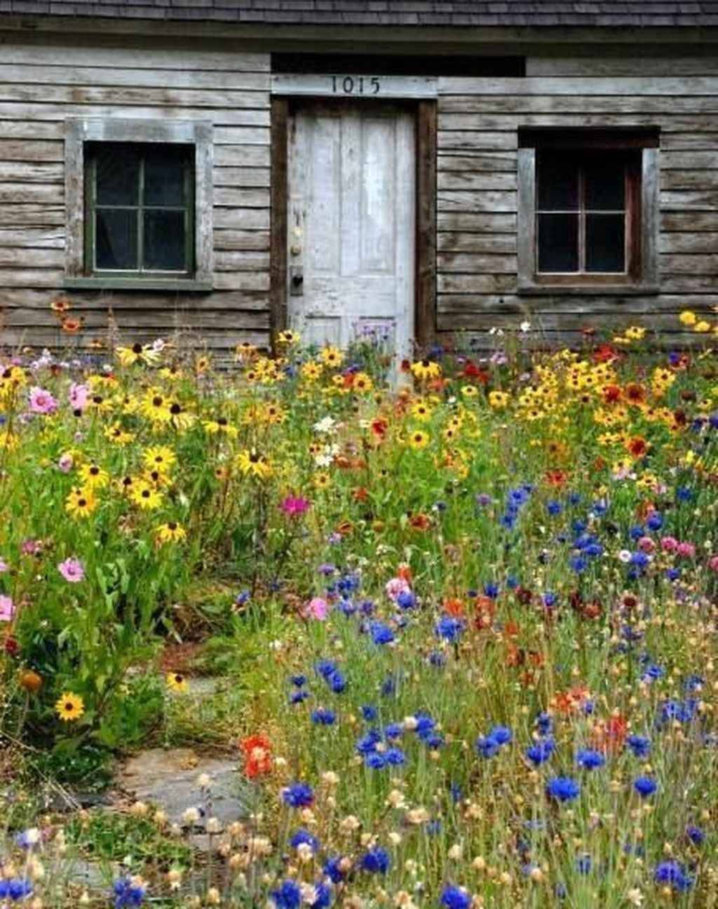 Wildflower Garden Beds Google Search In Cottage Garden Design