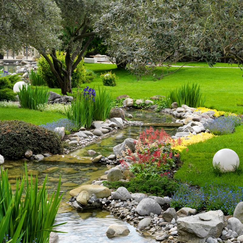 Ground Patio Pond Backyard Summer Small Fish