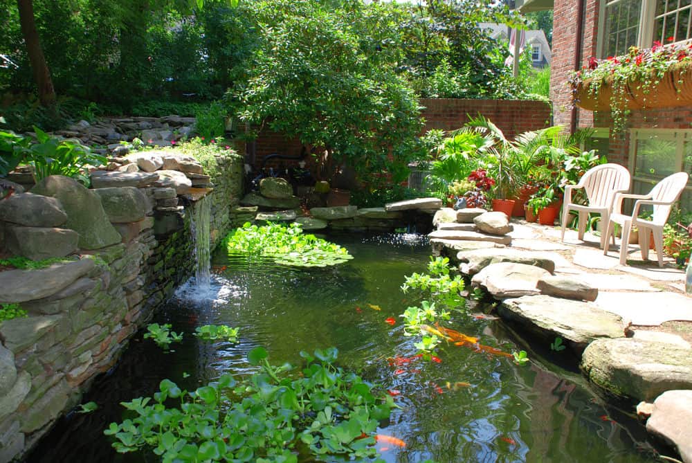 Landscaping Ideas For Around Ponds Backyard And Garden Pond