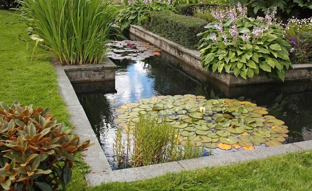 Landscaping Ideas For Around Ponds Backyard And Garden Pond