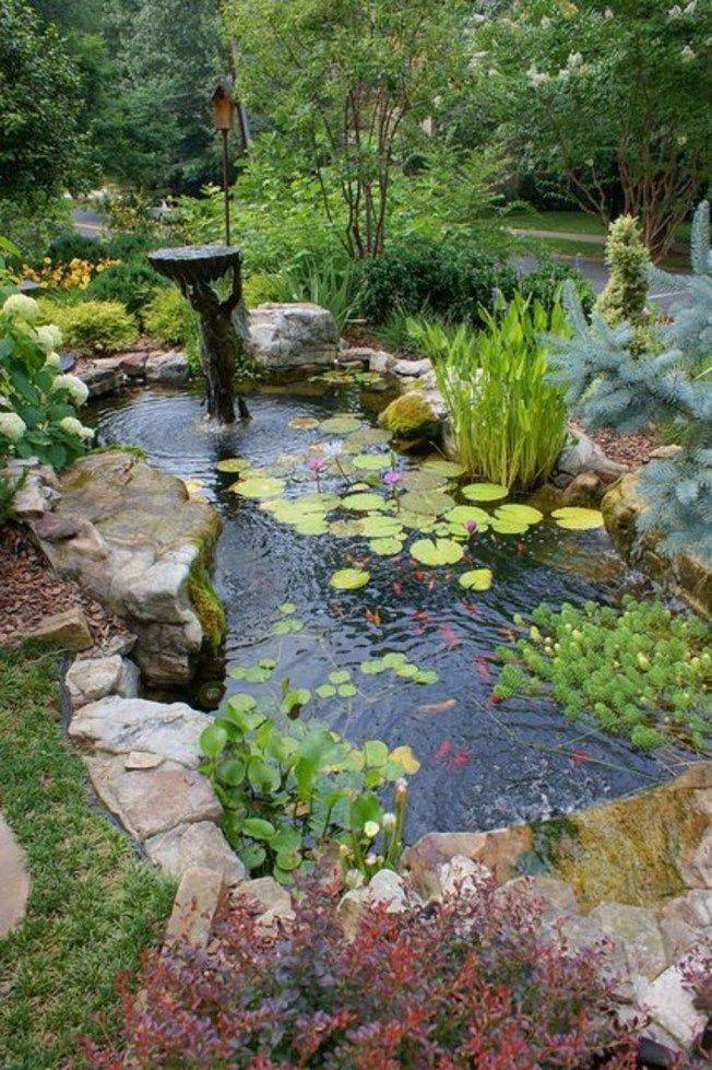 Traditional Backyard Ponds House