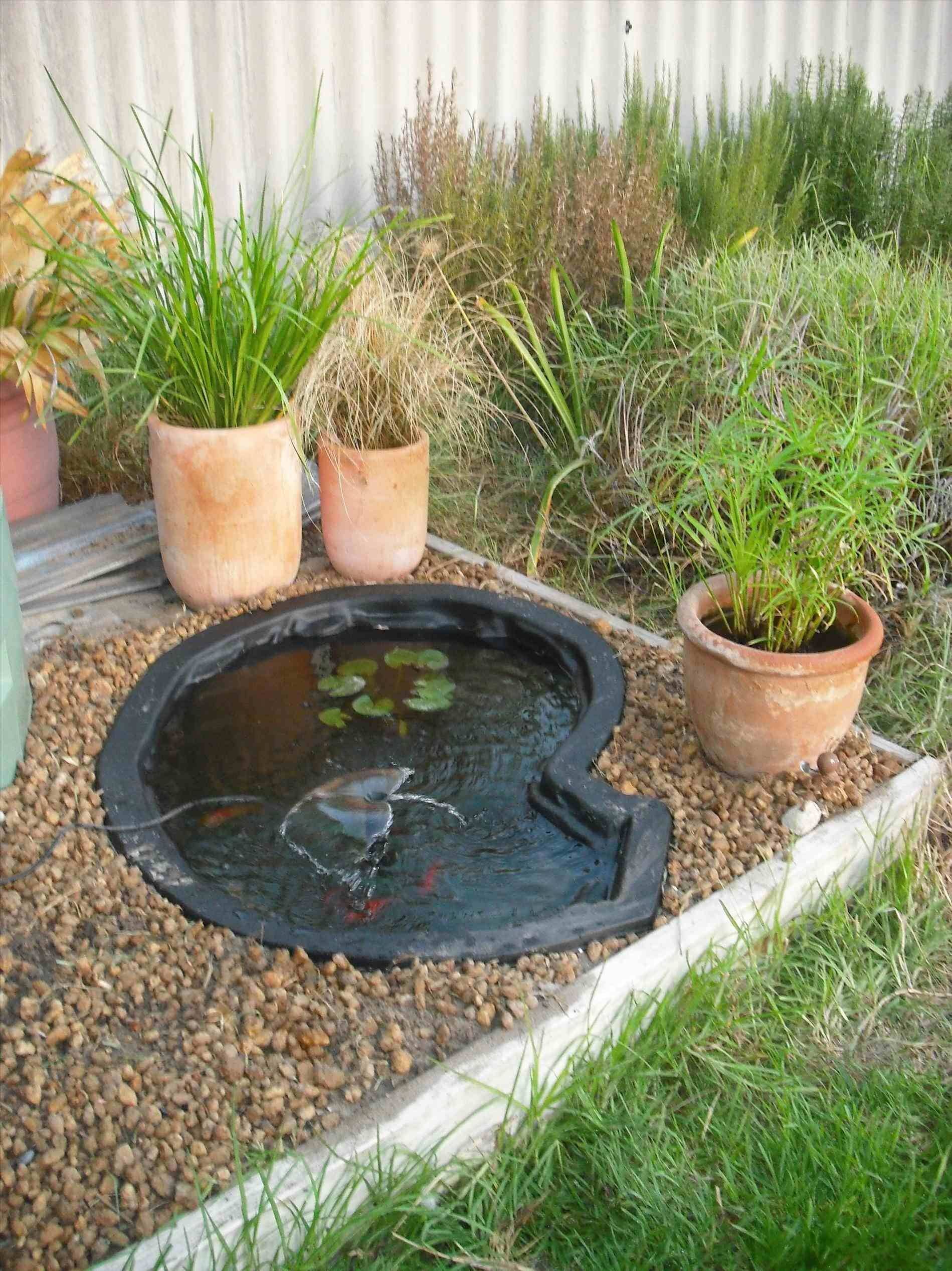 Pretty Inspiring Garden Pond