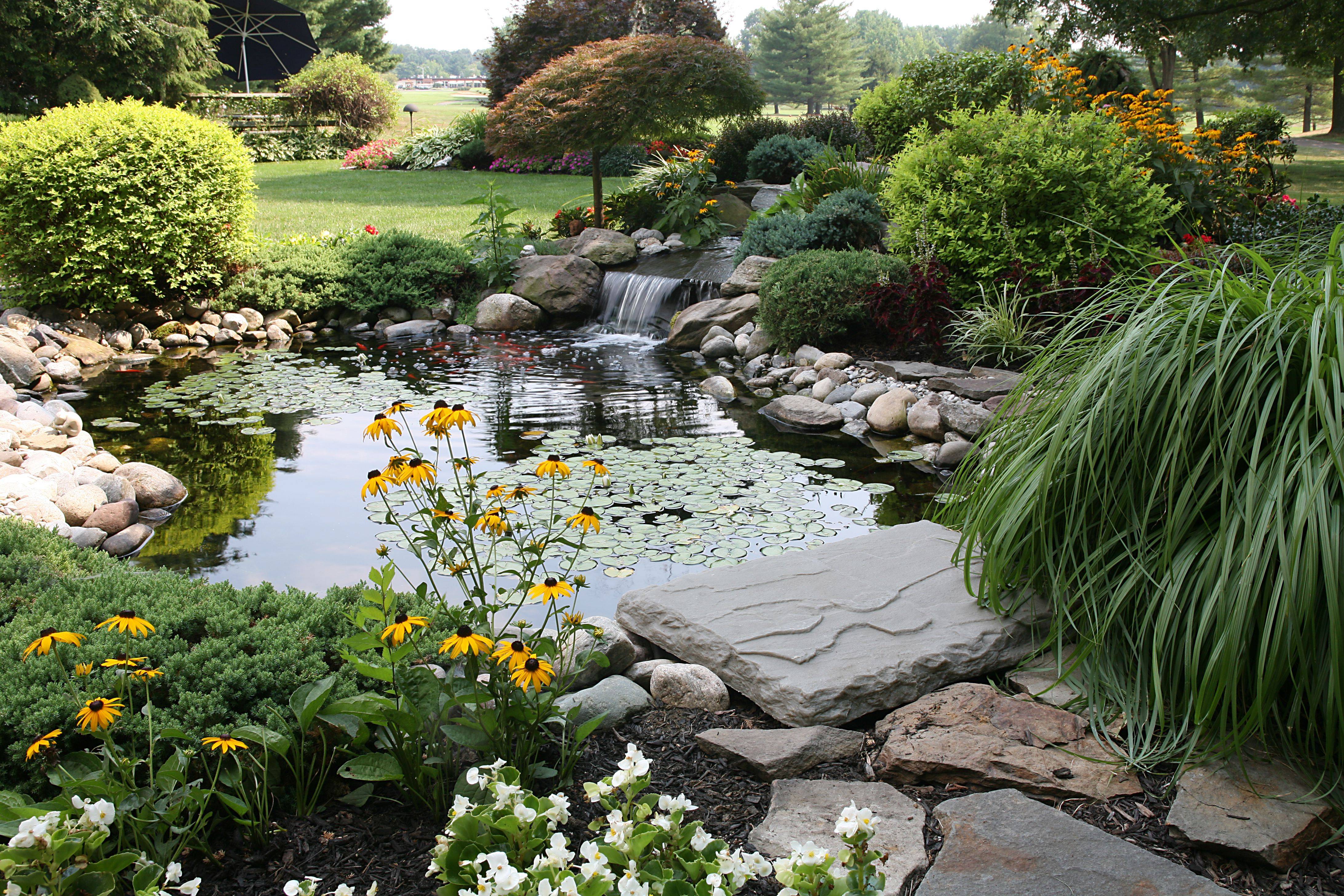 Outdoor Fish Pond Design Ideas