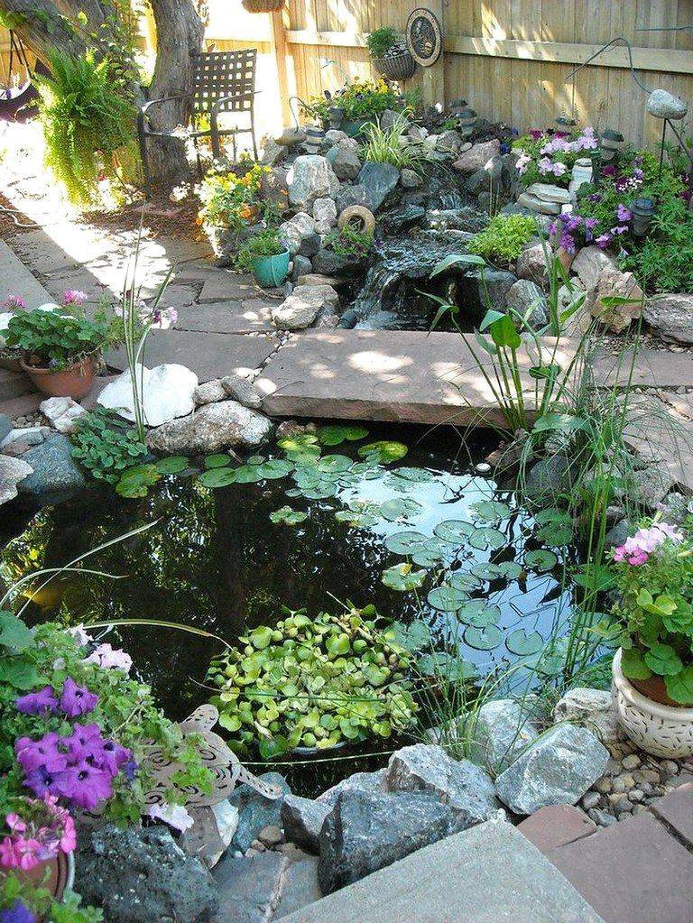 Ground Patio Pond Backyard Summer Small Fish