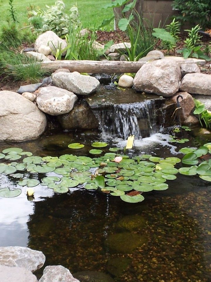 Top Photos Small Backyard Pond Designs