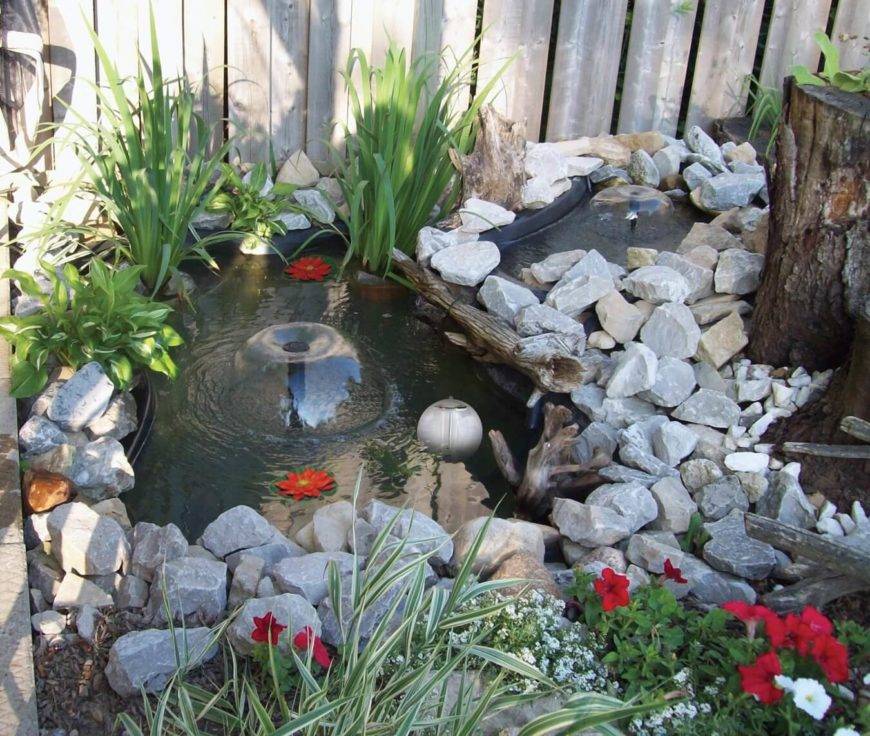 Fish Pond Plant Patio Outdoor Indoor Ponds