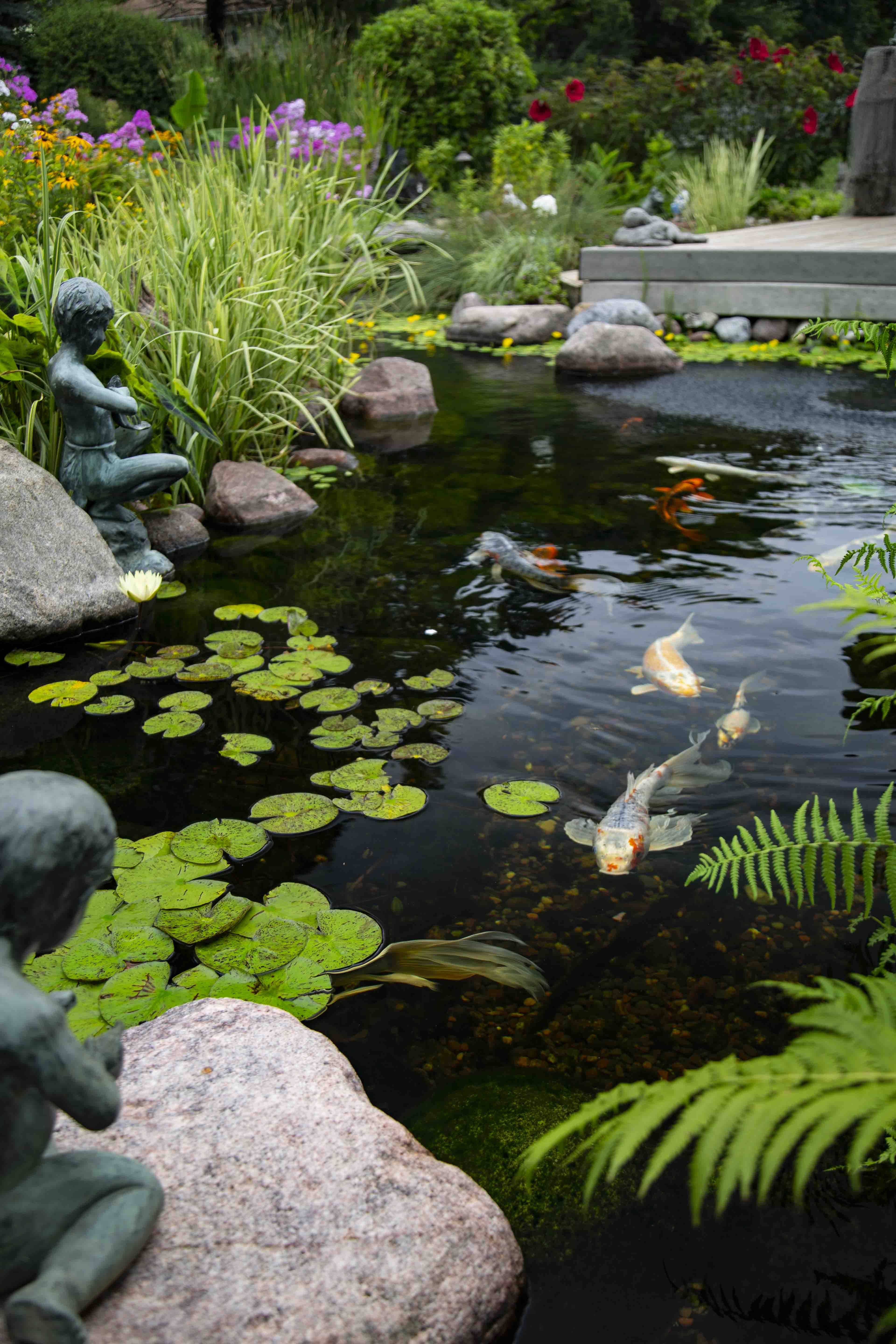 Favourite Pond Garden Ideas