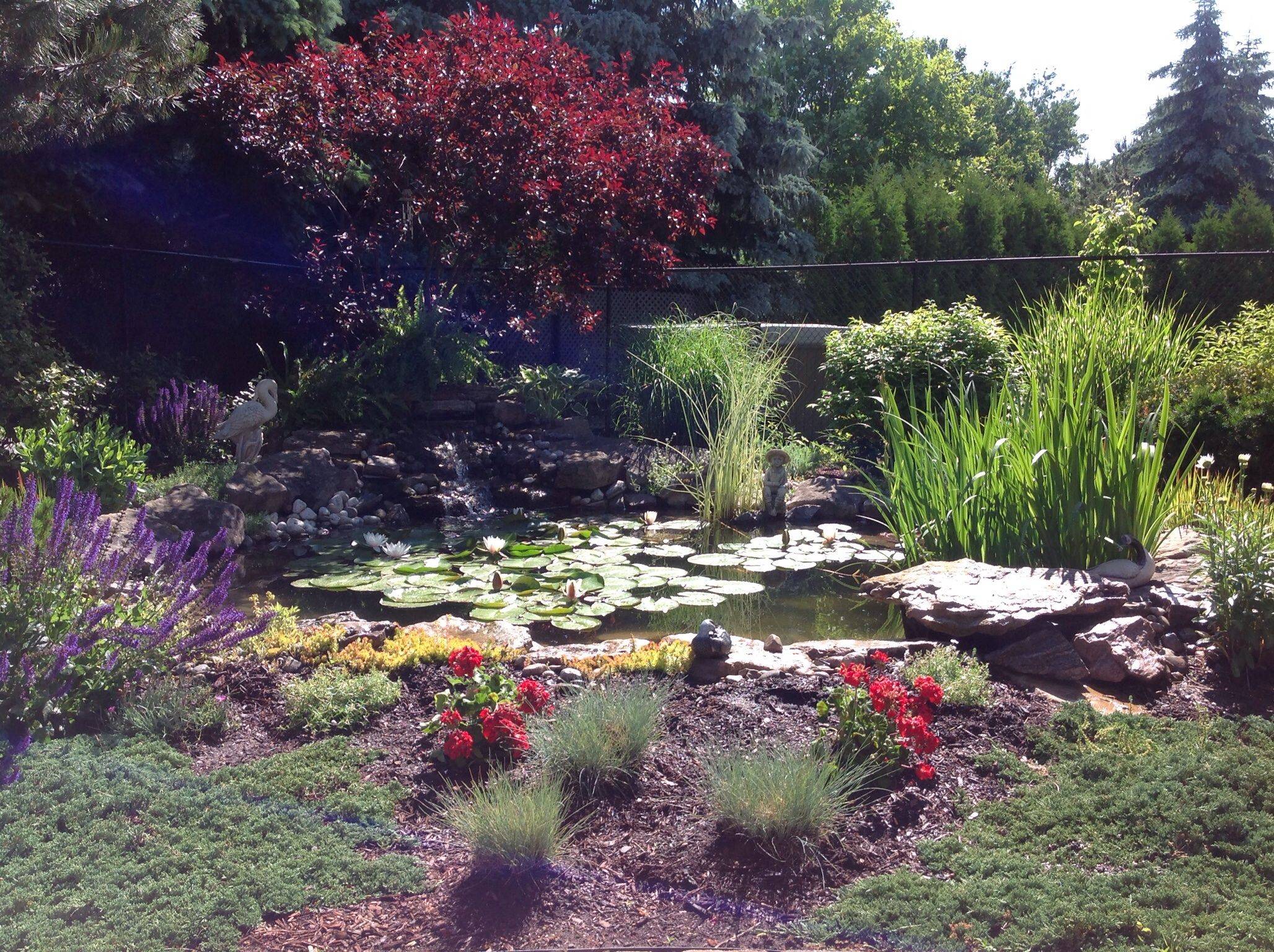 Backyard Pond Ideas