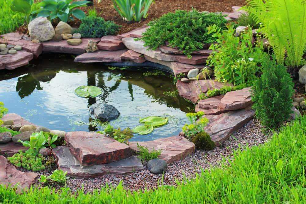 Backyard Pond Ideas