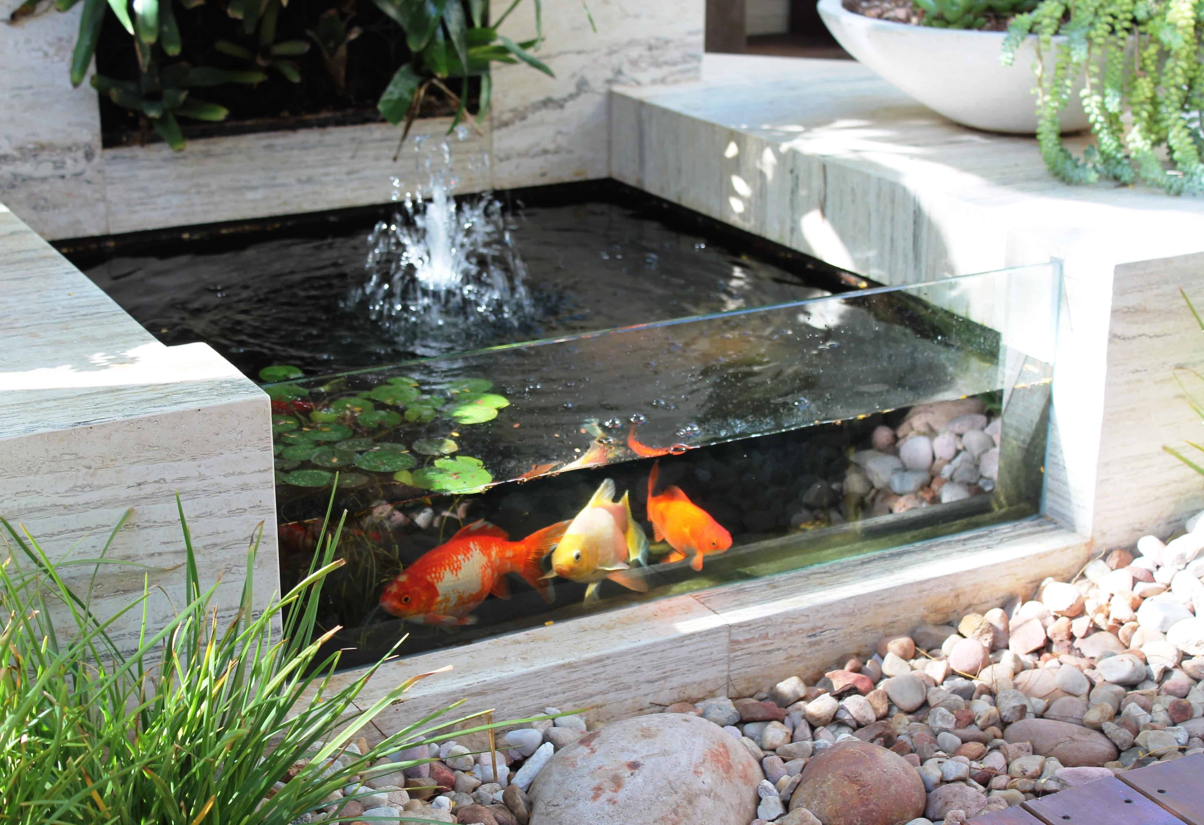 Raised Pond Garden Pond Design