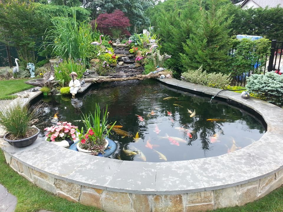 Fish Pond Gardens