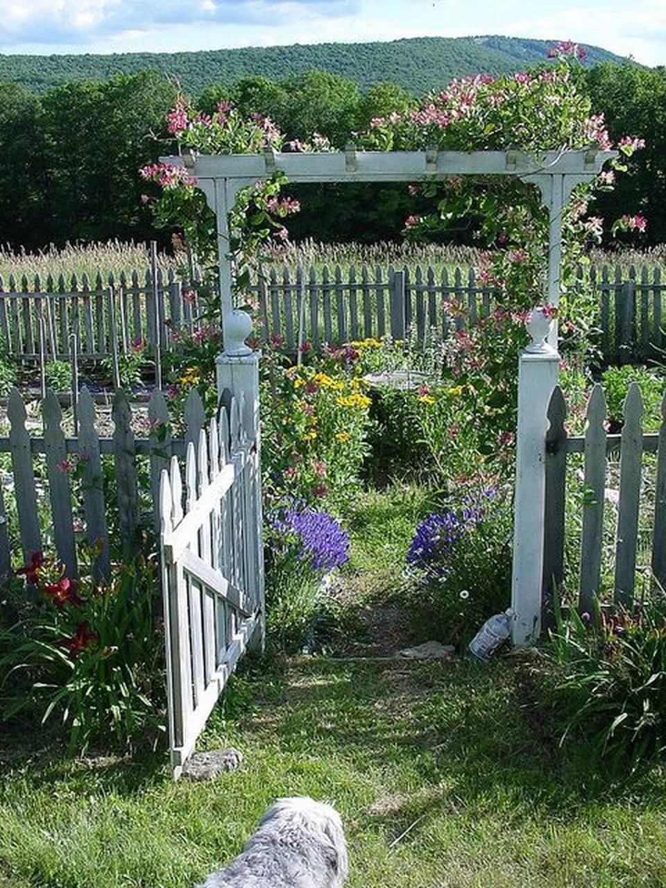 An Enchanting Outdoor Space Wooden Garden