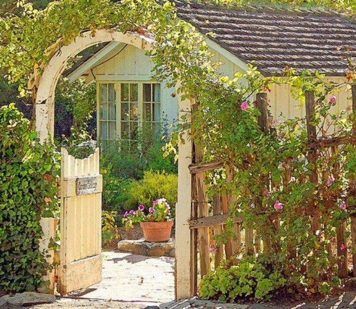 Inspiring Grape Vine Ideas