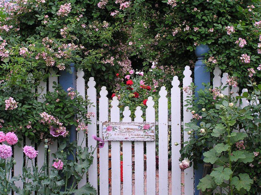 Cottage Picket Arbor Gate