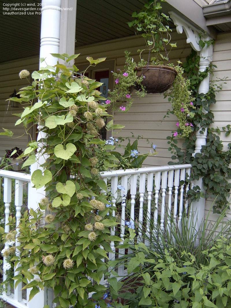 An Enchanting Outdoor Space Wooden Garden