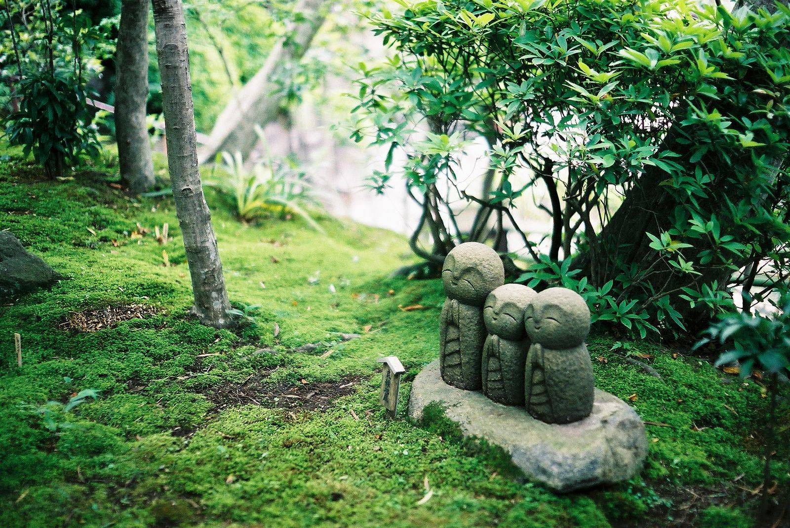 Japanese Garden