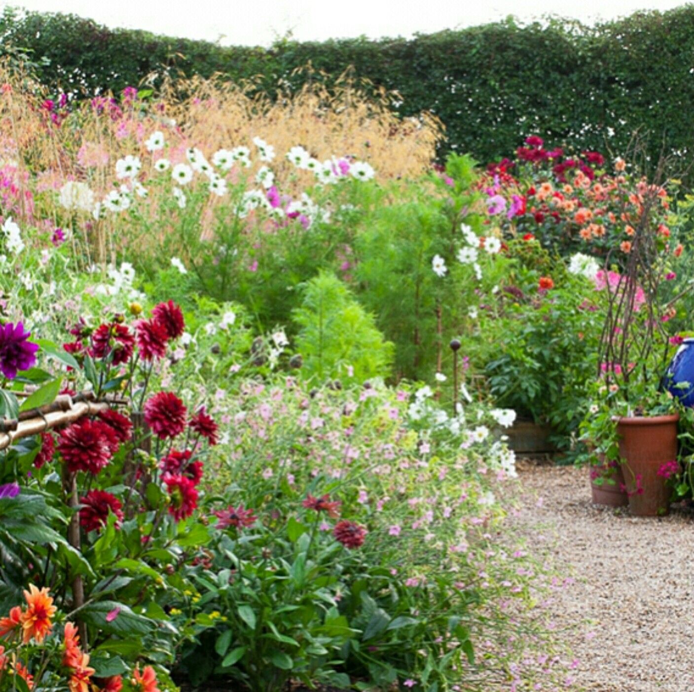 Lovely Greens Edible Gardening