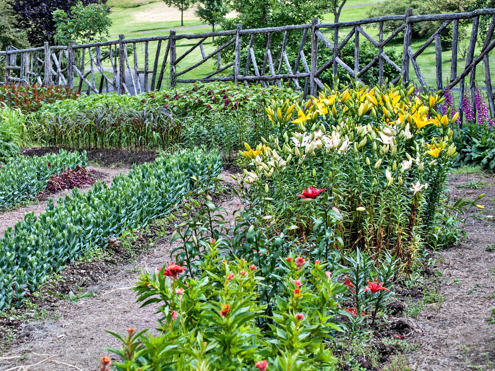 Small Space Cut Flower Garden Ideas