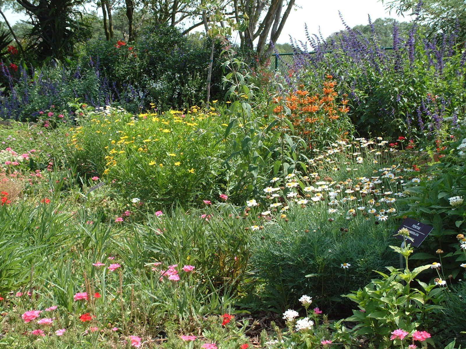 Most Elegant And Stunning Flower Garden