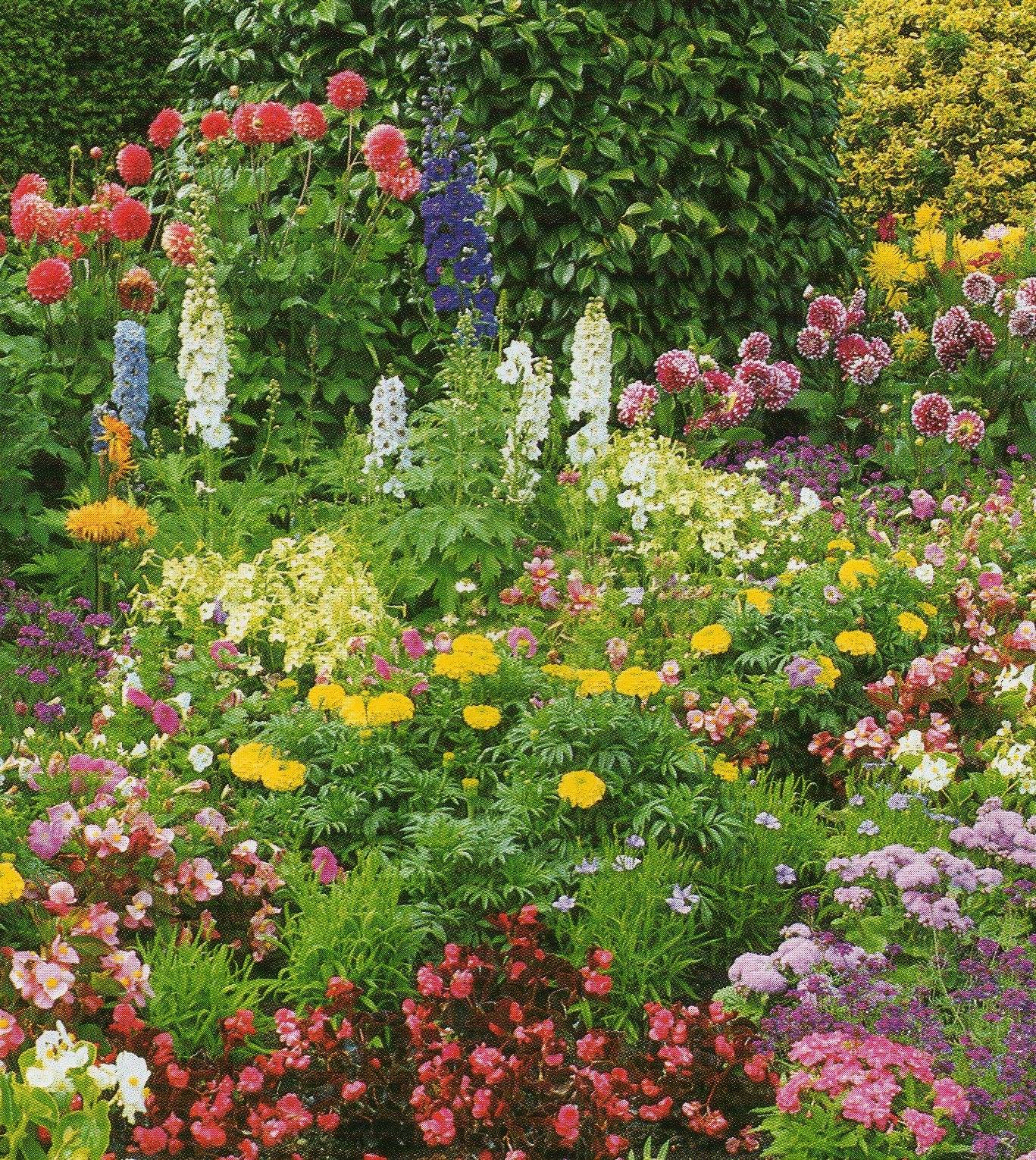 Butterfly Garden Ideas