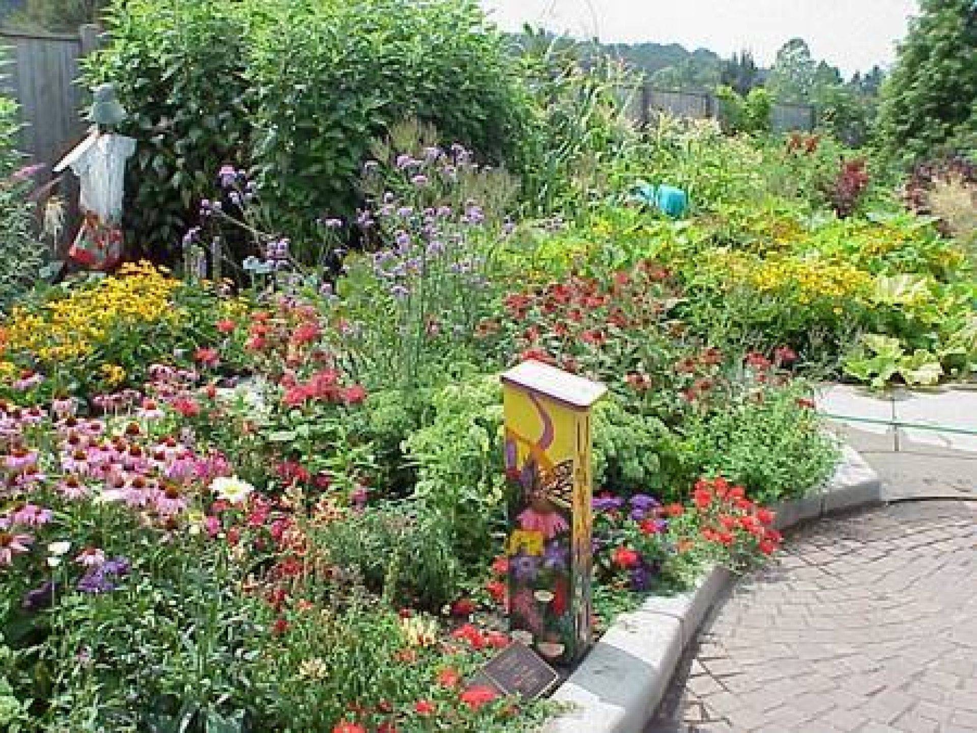 Butterfly Hummingbird Garden