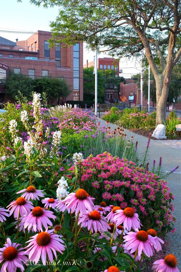 Butterfly Garden