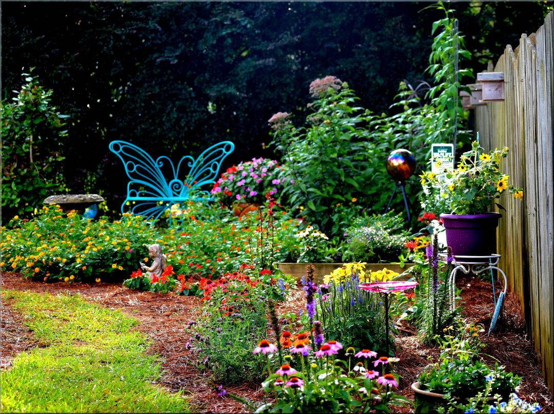 Small Butterfly Garden Ideas Photograph Sunday Februar
