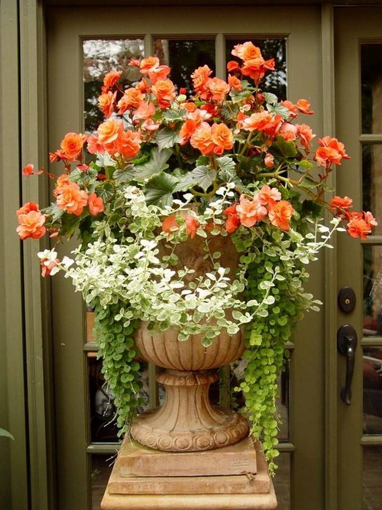 Creative Container Gardening Flowers Ideas Decorations