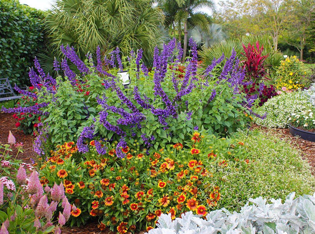 Small Perennial Garden Ideas